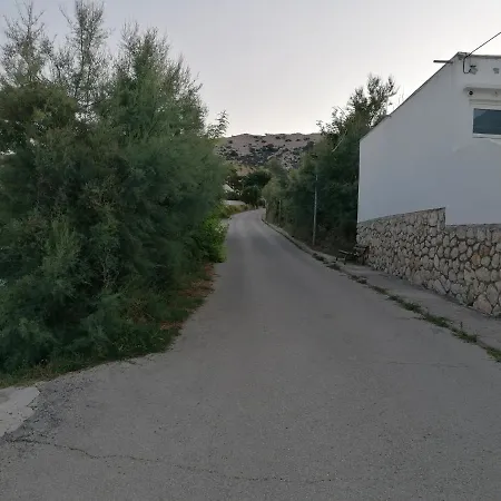 Dario 파그